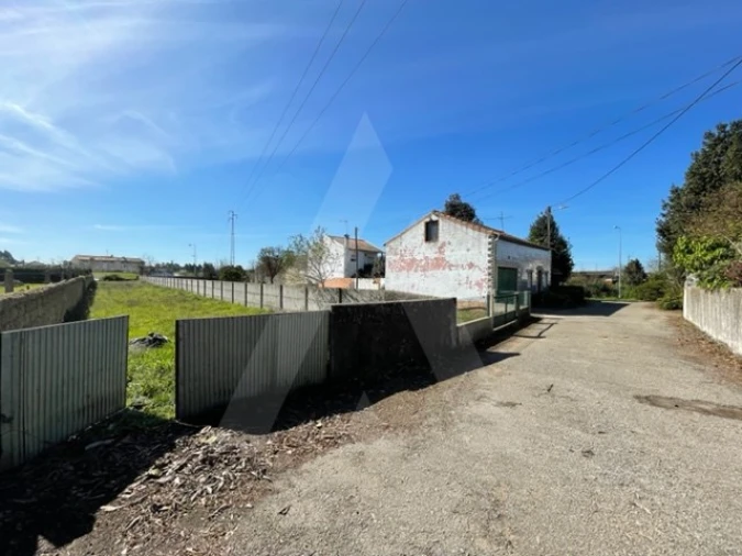 Terreno Agricola ou Rústico para Venda em Trofa, Segadães e Lamas do Vouga Foto 4