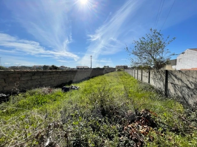 Terreno Agricola ou Rústico para Venda em Trofa, Segadães e Lamas do Vouga Foto 5