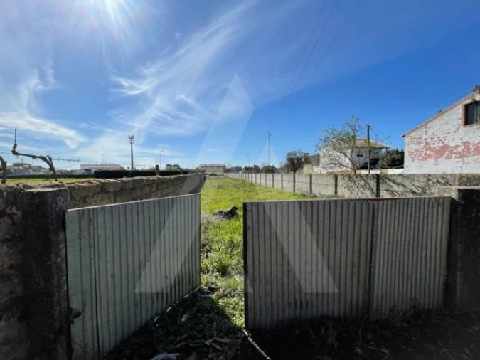 Terreno Agricola ou Rústico para Venda em Trofa, Segadães e Lamas do Vouga Foto 6