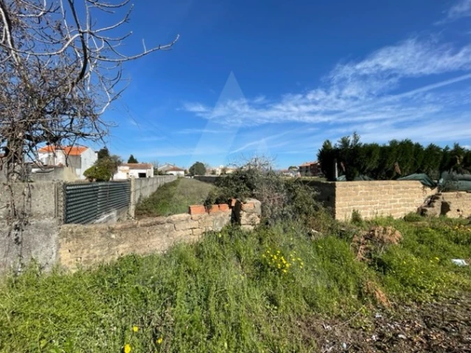 Terreno Agricola ou Rústico para Venda em Trofa, Segadães e Lamas do Vouga Foto 9