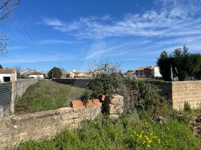 Terreno Agricola ou Rústico para Venda em Trofa, Segadães e Lamas do Vouga Foto 10