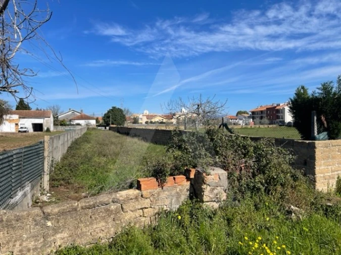 Terreno Agricola ou Rústico para Venda em Trofa, Segadães e Lamas do Vouga Foto 11