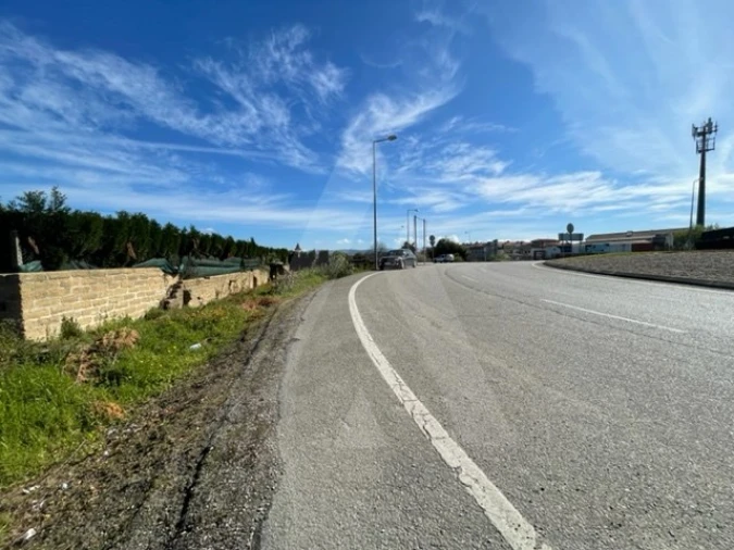 Terreno Agricola ou Rústico para Venda em Trofa, Segadães e Lamas do Vouga Foto 12