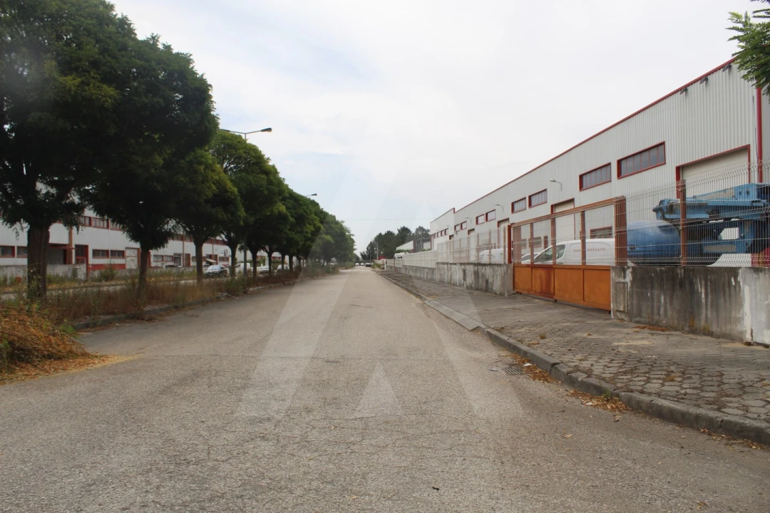 Armazém para Arrendamento em Albergaria-A-Velha e Valmaior Foto 20