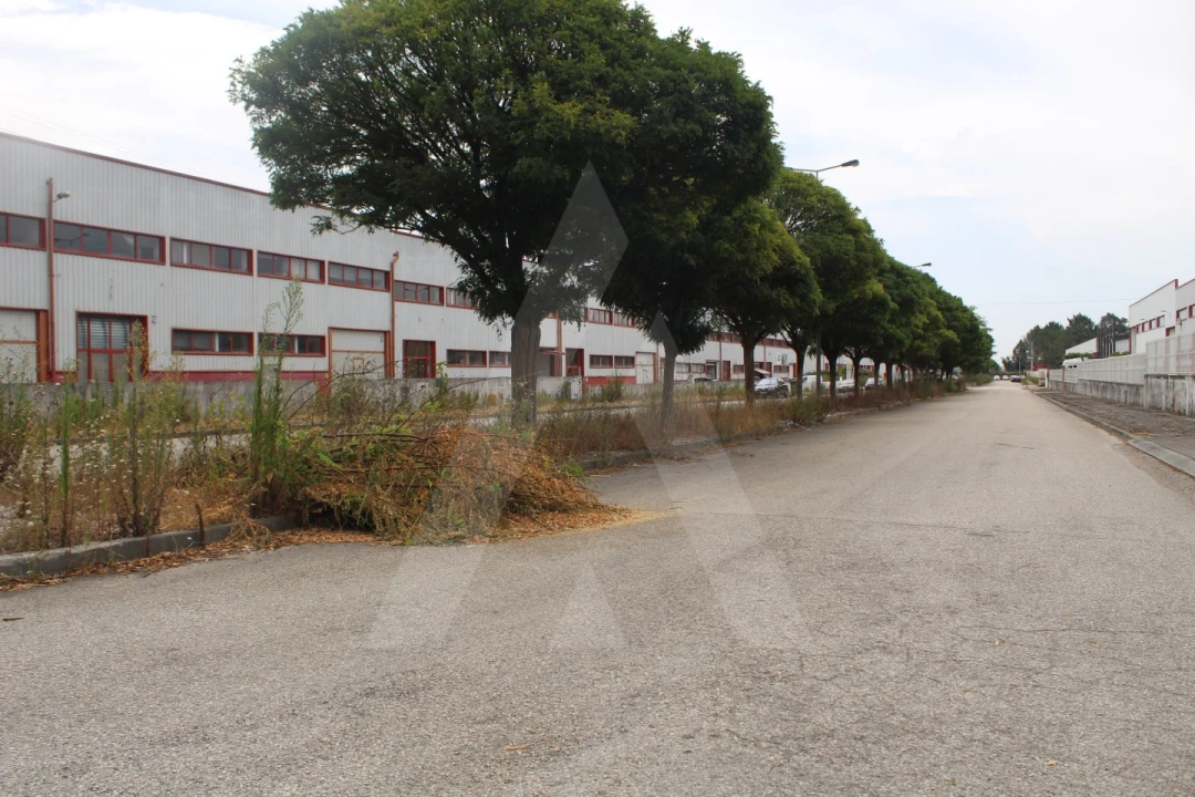 Armazém para Arrendamento em Albergaria-A-Velha e Valmaior Foto 21