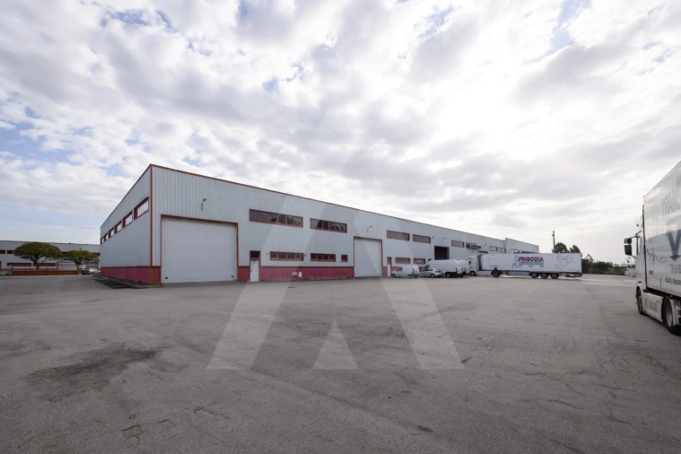 Armazém para Arrendamento em Albergaria-A-Velha e Valmaior Foto 15