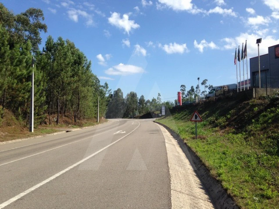Terreno Agricola ou Rústico para Venda em Águeda e Borralha Foto 1