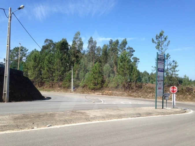 Terreno Agricola ou Rústico para Venda em Águeda e Borralha Foto 2