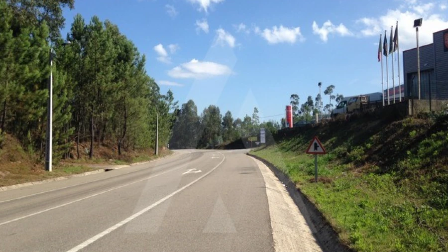 Terreno Agricola ou Rústico para Venda em Águeda e Borralha
