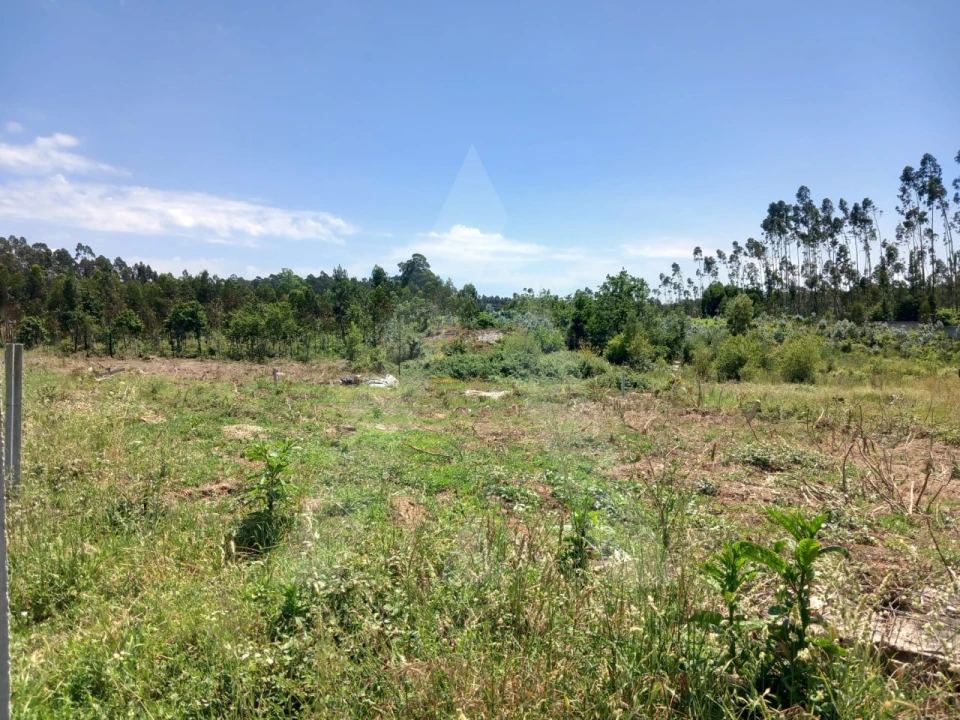 Terreno Agricola ou Rústico para Venda em Avanca Foto 7