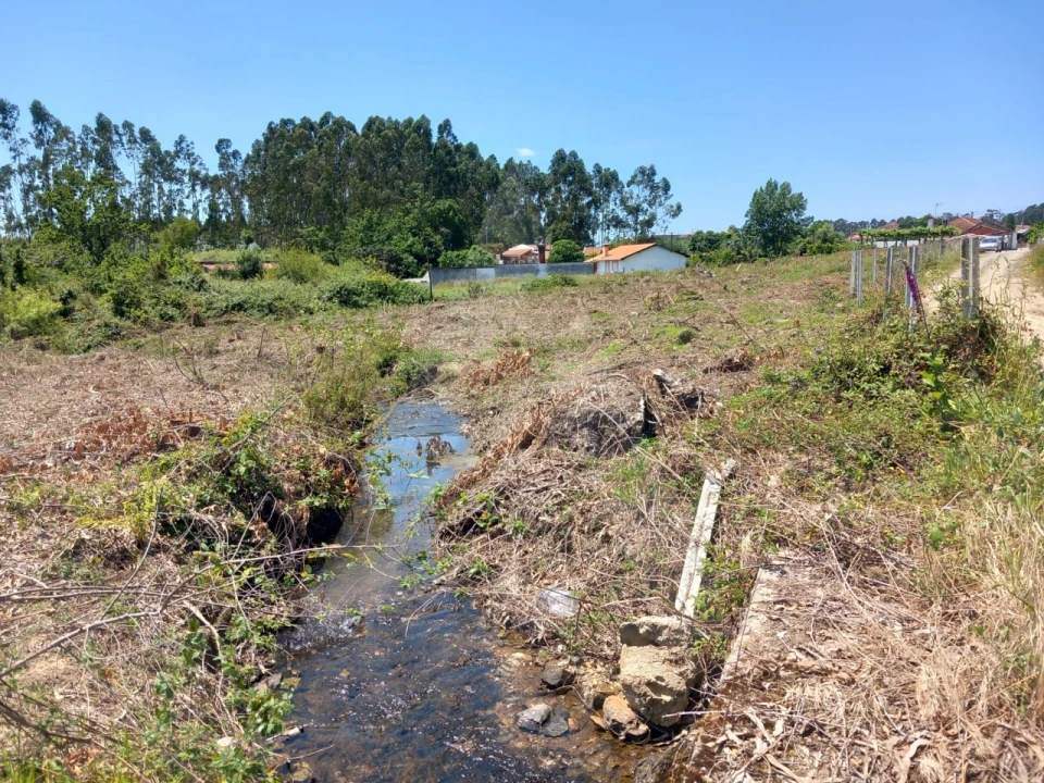 Terreno Agricola ou Rústico para Venda em Avanca Foto 8