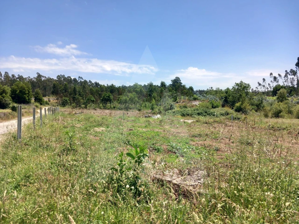Terreno Agricola ou Rústico para Venda em Avanca Foto 11