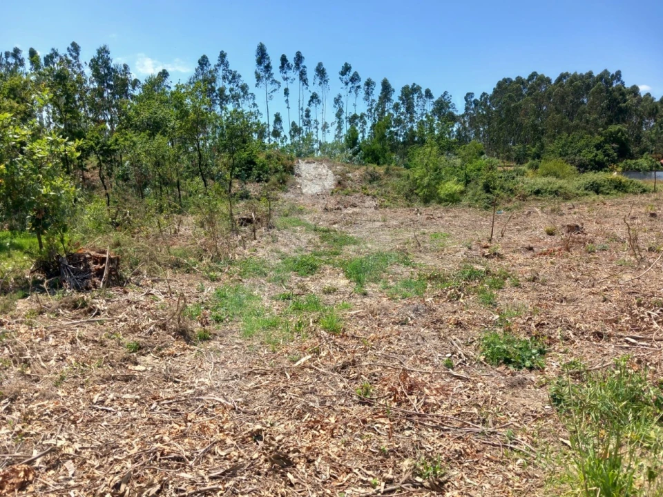 Terreno Agricola ou Rústico para Venda em Avanca Foto 12
