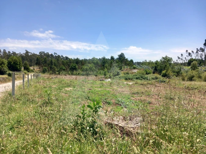Terreno Agricola ou Rústico para Venda em Avanca Foto 1