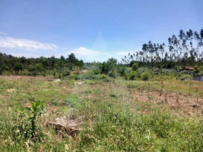 Terreno Agricola ou Rústico para Venda em Avanca Foto 2