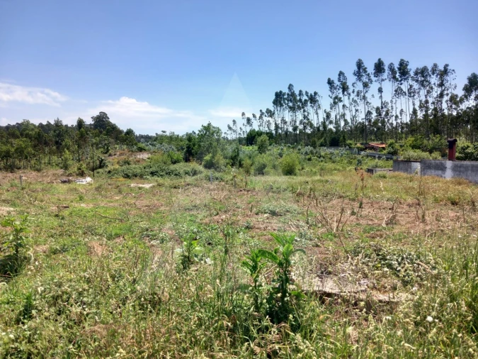Terreno Agricola ou Rústico para Venda em Avanca Foto 3