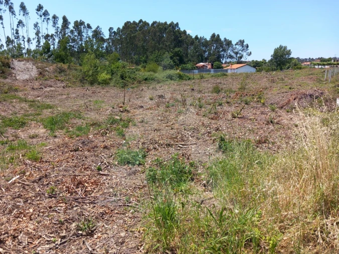 Terreno Agricola ou Rústico para Venda em Avanca Foto 4