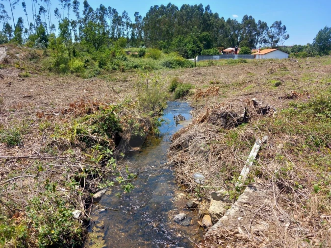 Terreno Agricola ou Rústico para Venda em Avanca Foto 5