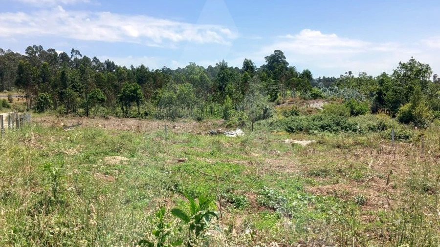 Terreno Agricola ou Rústico para Venda em Avanca