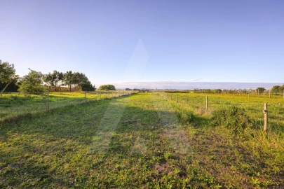 Terreno Agricola ou Rústico para Venda em Gafanha da Encarnação