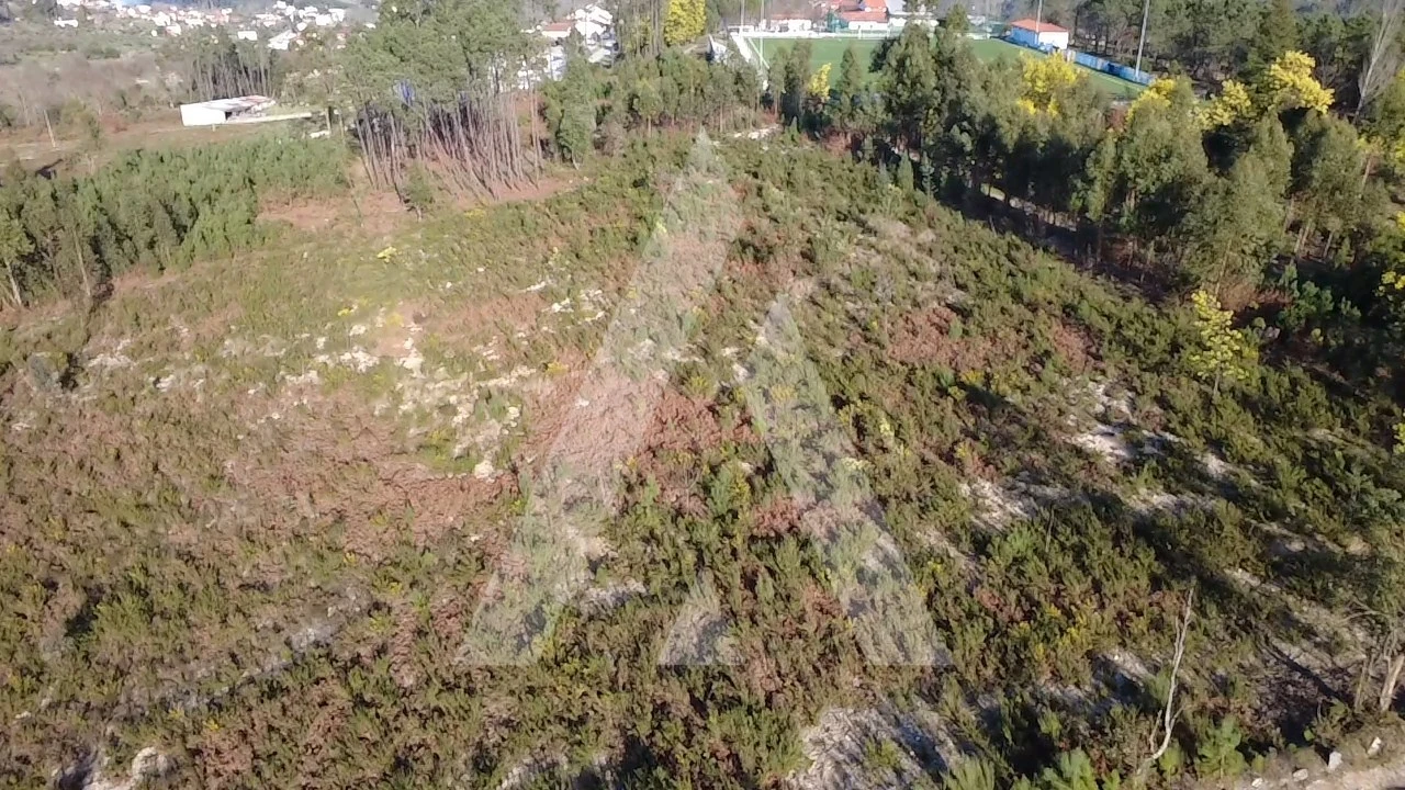 Terreno Agricola ou Rústico para Venda em Mangualde, Mesquitela e Cunha Alta Foto 1