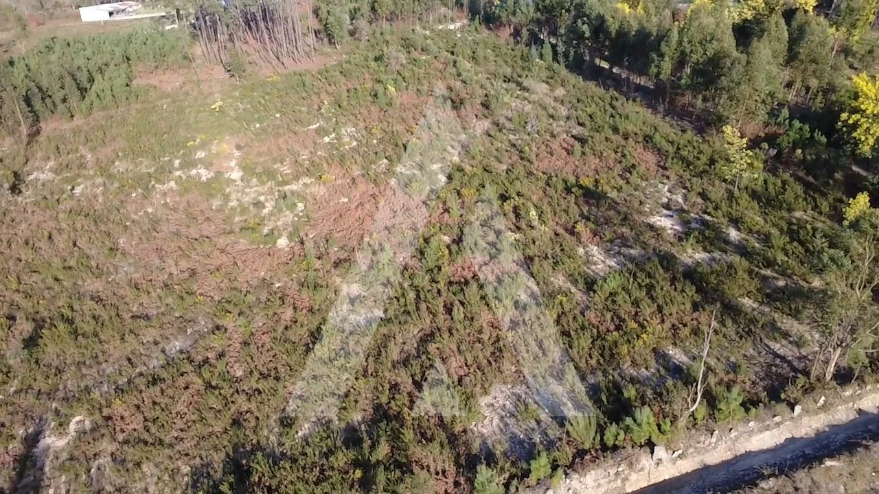 Terreno Agricola ou Rústico para Venda em Mangualde, Mesquitela e Cunha Alta Foto 2