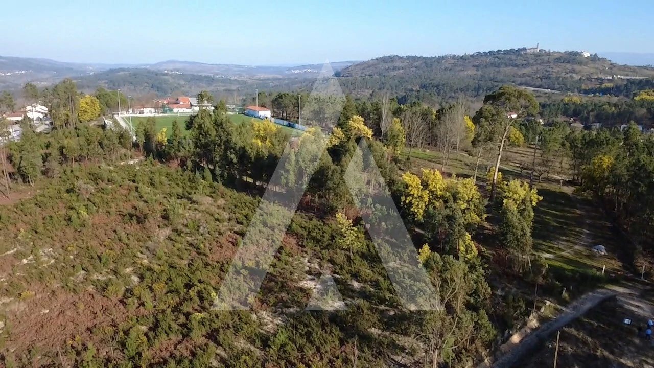 Terreno Agricola ou Rústico para Venda em Mangualde, Mesquitela e Cunha Alta Foto 3