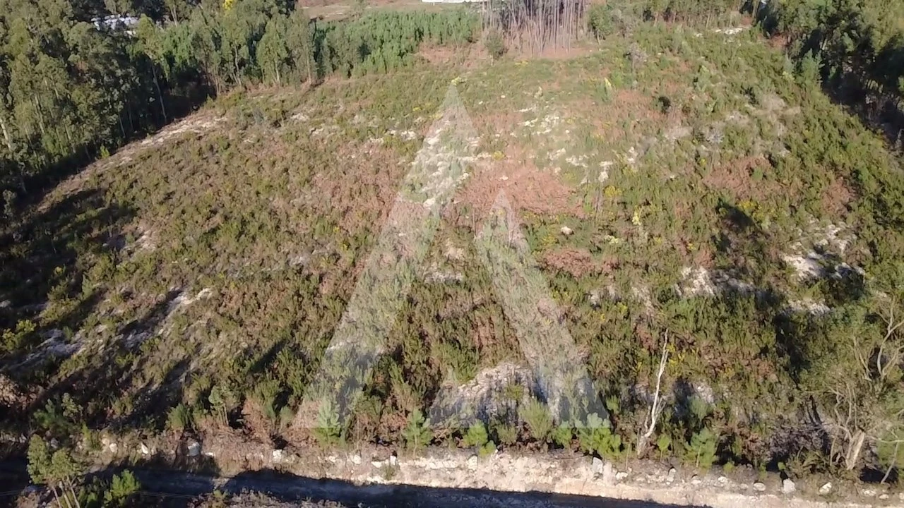 Terreno Agricola ou Rústico para Venda em Mangualde, Mesquitela e Cunha Alta Foto 4
