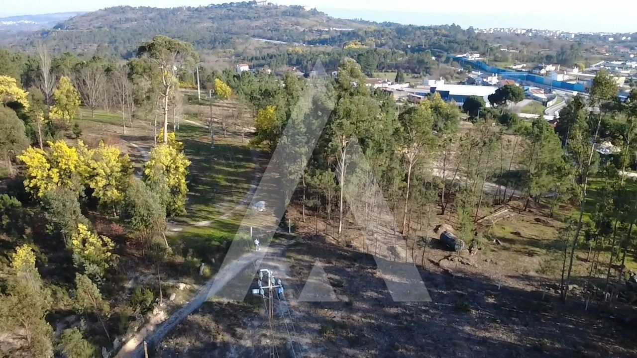 Terreno Agricola ou Rústico para Venda em Mangualde, Mesquitela e Cunha Alta Foto 6