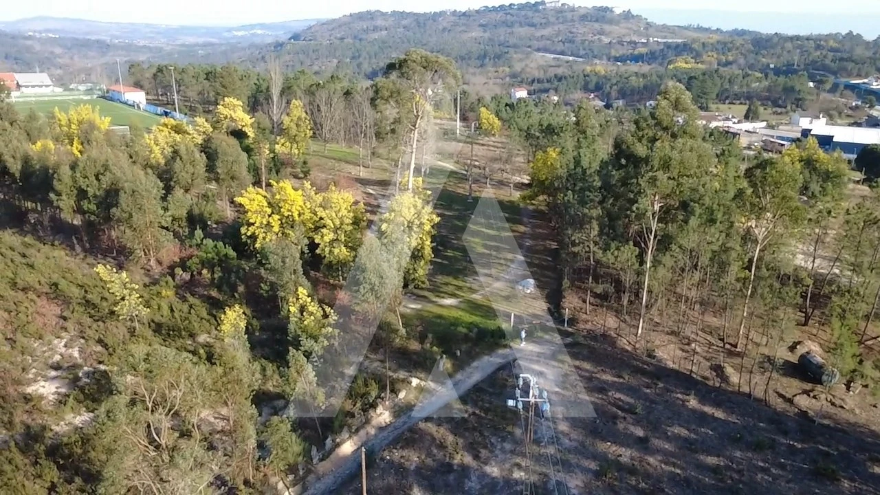 Terreno Agricola ou Rústico para Venda em Mangualde, Mesquitela e Cunha Alta Foto 7