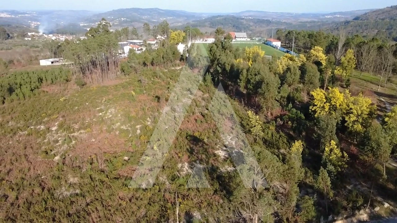 Terreno Agricola ou Rústico para Venda em Mangualde, Mesquitela e Cunha Alta Foto 9