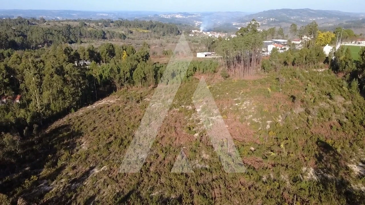 Terreno Agricola ou Rústico para Venda em Mangualde, Mesquitela e Cunha Alta Foto 11