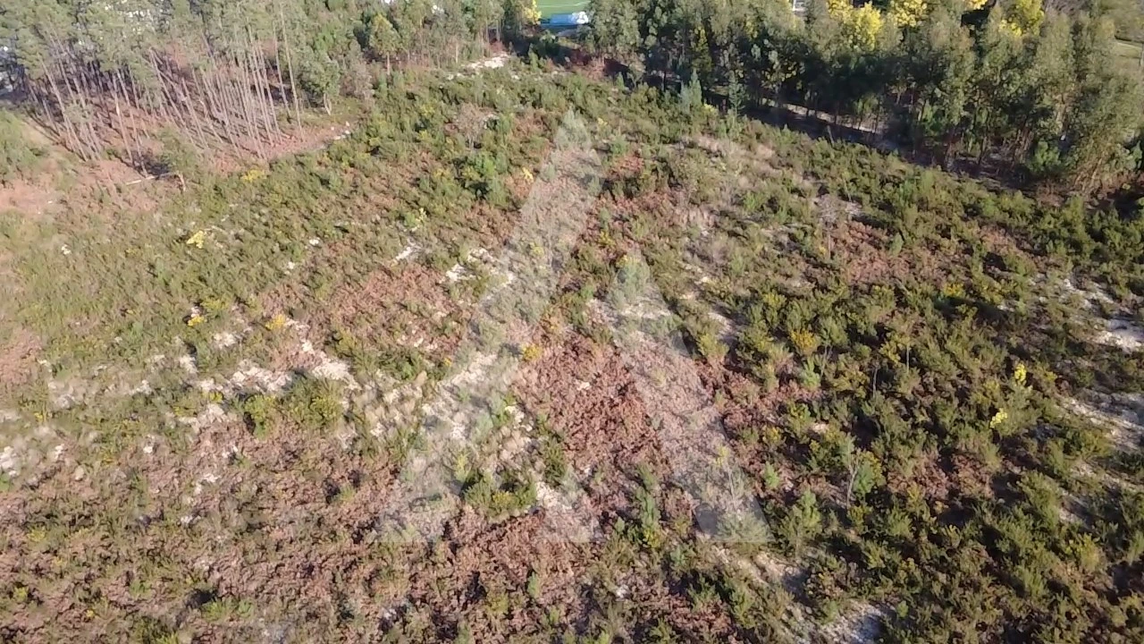 Terreno Agricola ou Rústico para Venda em Mangualde, Mesquitela e Cunha Alta Foto 12