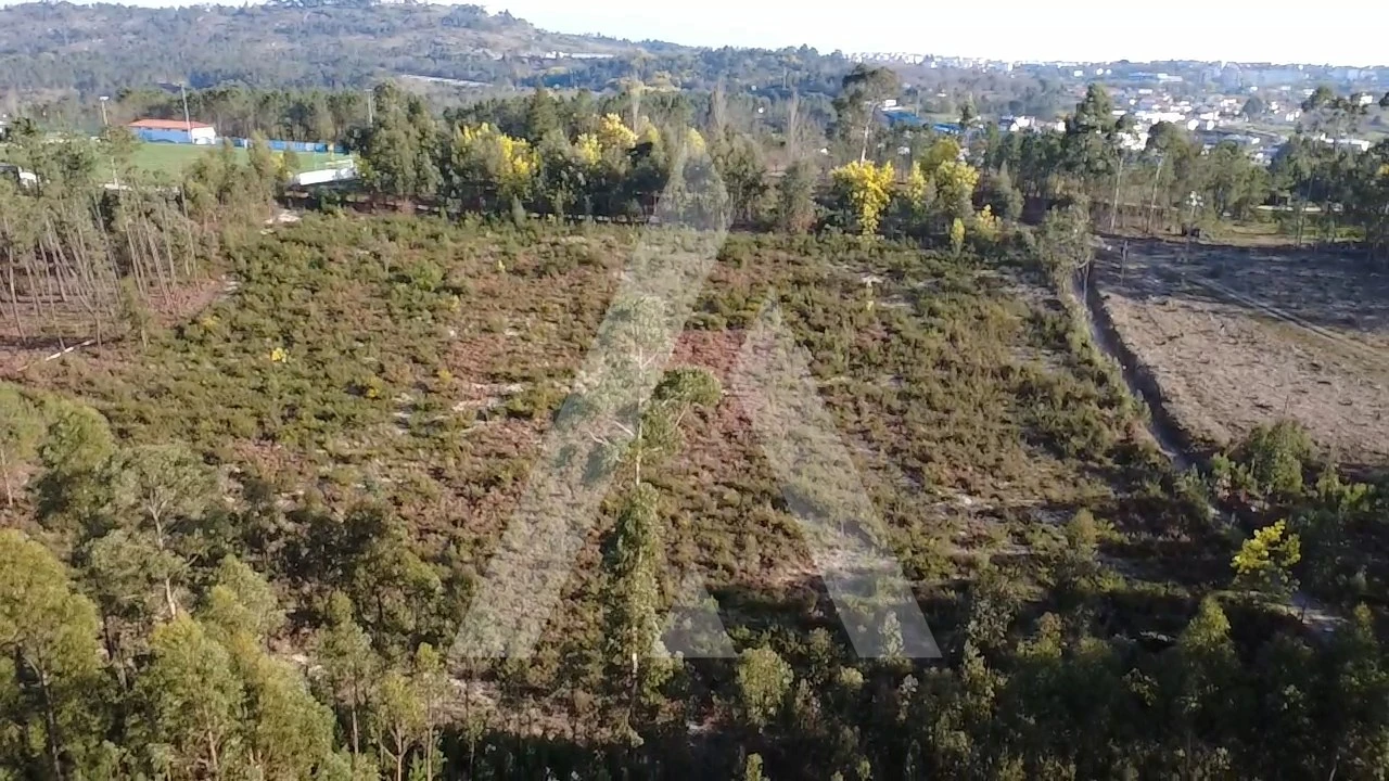 Terreno Agricola ou Rústico para Venda em Mangualde, Mesquitela e Cunha Alta Foto 15