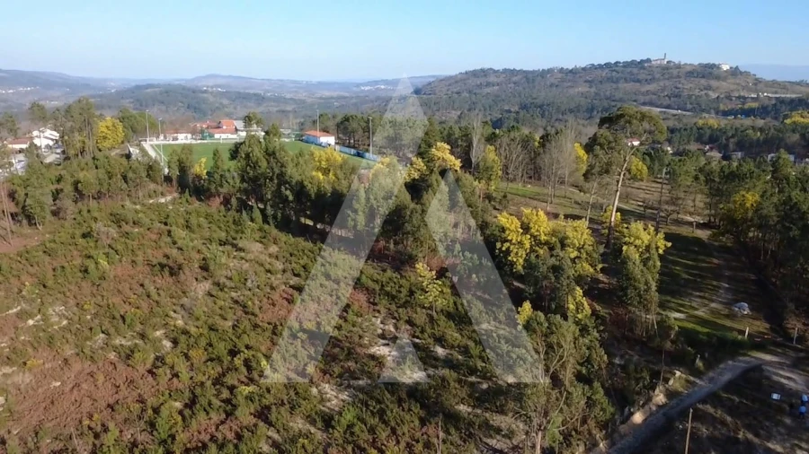 Terreno Agricola ou Rústico para Venda em Mangualde, Mesquitela e Cunha Alta Foto 3