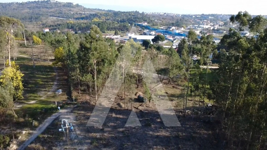 Terreno Agricola ou Rústico para Venda em Mangualde, Mesquitela e Cunha Alta Foto 5