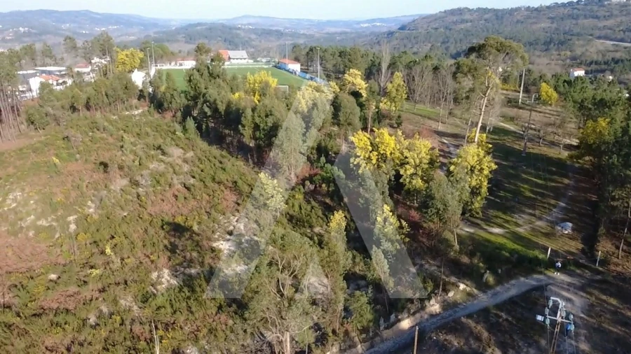 Terreno Agricola ou Rústico para Venda em Mangualde, Mesquitela e Cunha Alta Foto 8