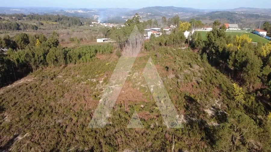 Terreno Agricola ou Rústico para Venda em Mangualde, Mesquitela e Cunha Alta Foto 10