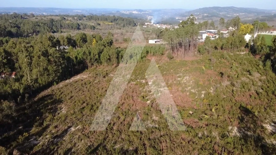 Terreno Agricola ou Rústico para Venda em Mangualde, Mesquitela e Cunha Alta Foto 11