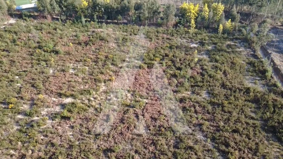 Terreno Agricola ou Rústico para Venda em Mangualde, Mesquitela e Cunha Alta Foto 13