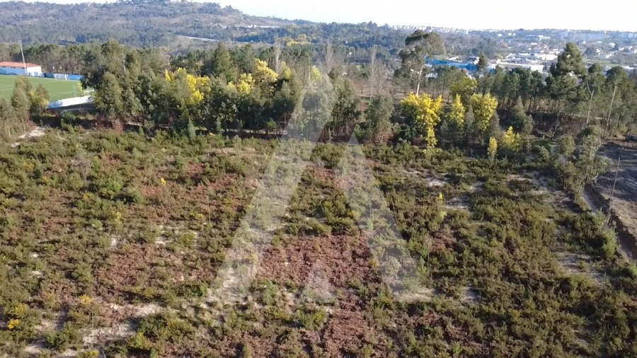 Terreno Agricola ou Rústico para Venda em Mangualde, Mesquitela e Cunha Alta Foto 14