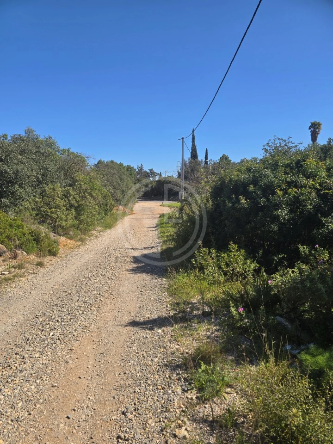 Terreno Agricola ou Rústico para Venda em Santa Barbara de Nexe Foto 3
