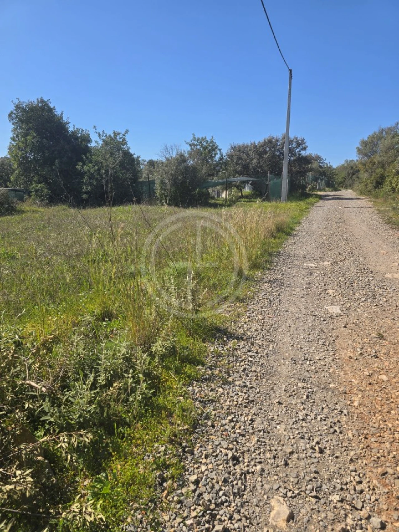 Terreno Agricola ou Rústico para Venda em Santa Barbara de Nexe Foto 5