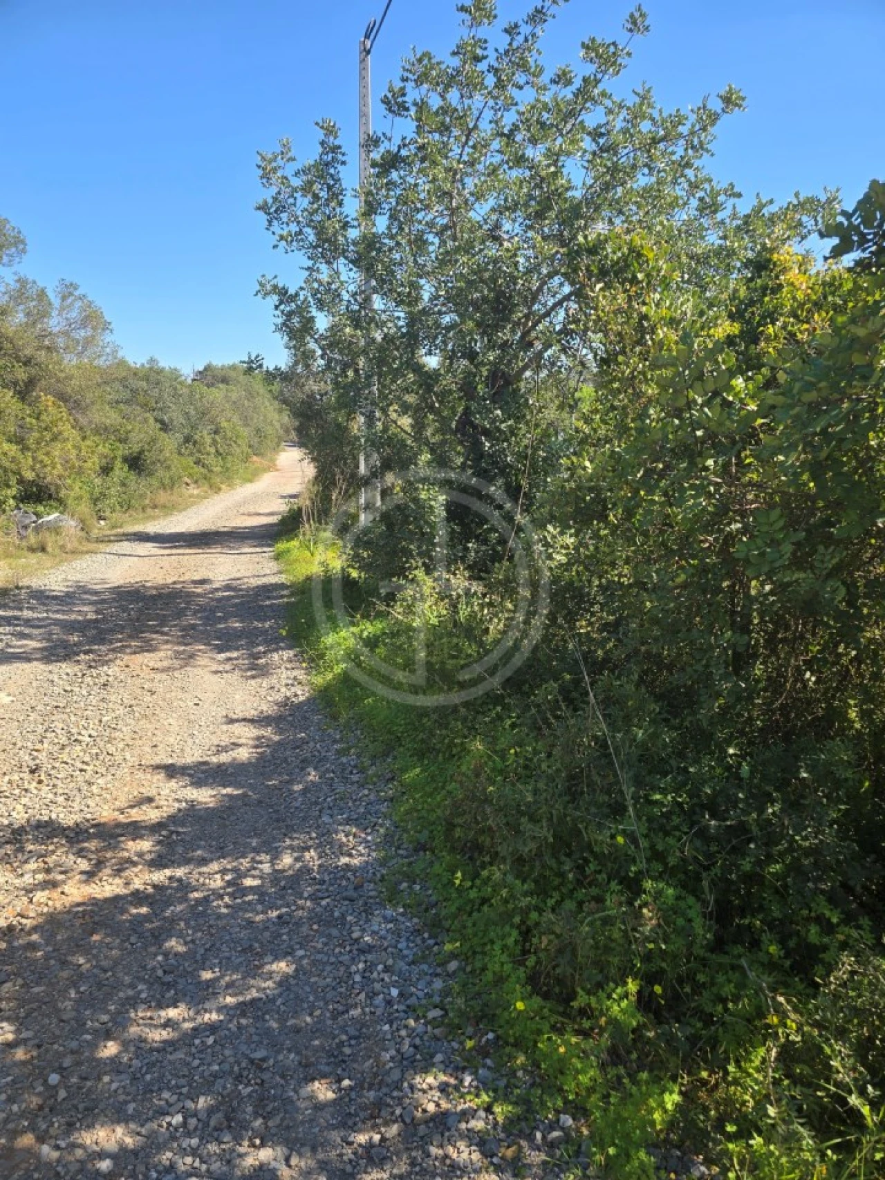 Terreno Agricola ou Rústico para Venda em Santa Barbara de Nexe Foto 6
