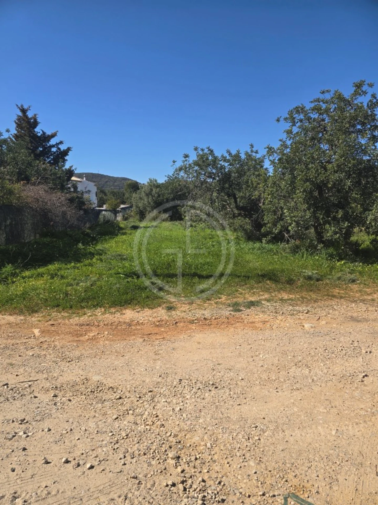 Terreno Agricola ou Rústico para Venda em Santa Barbara de Nexe Foto 10