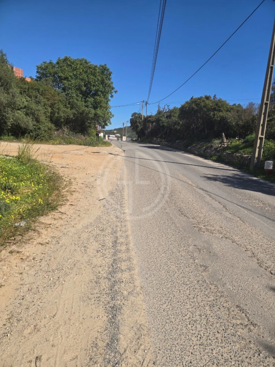 Terreno Agricola ou Rústico para Venda em Santa Barbara de Nexe Foto 1