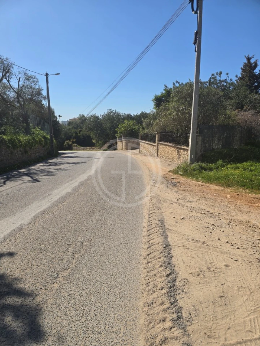 Terreno Agricola ou Rústico para Venda em Santa Barbara de Nexe Foto 2