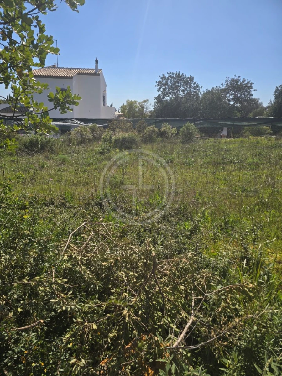 Terreno Agricola ou Rústico para Venda em Santa Barbara de Nexe Foto 7