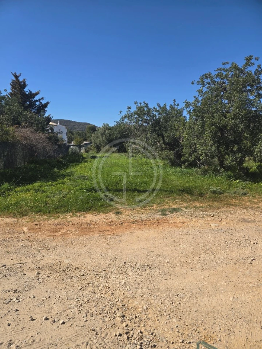 Terreno Agricola ou Rústico para Venda em Santa Barbara de Nexe Foto 10