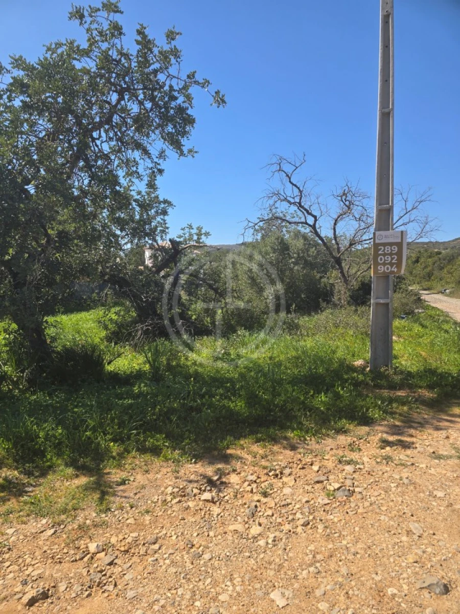 Terreno Agricola ou Rústico para Venda em Santa Barbara de Nexe Foto 12